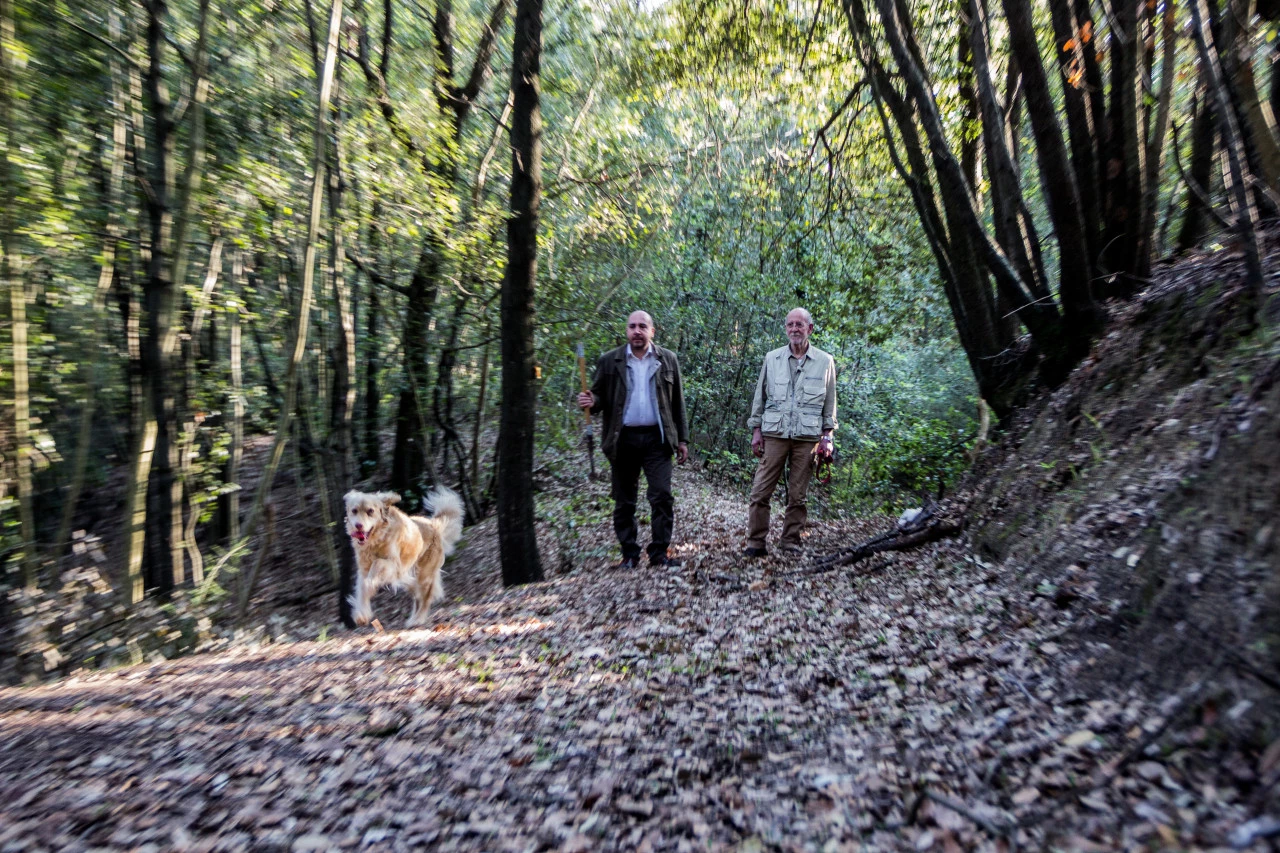 Father and son Gemignani with the dog truffle hunting in San Miniato