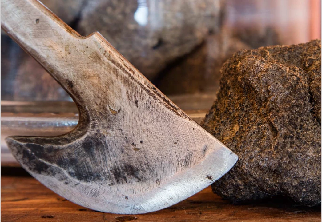 Truffle and harvesting tool, truffle hunter in San Miniato